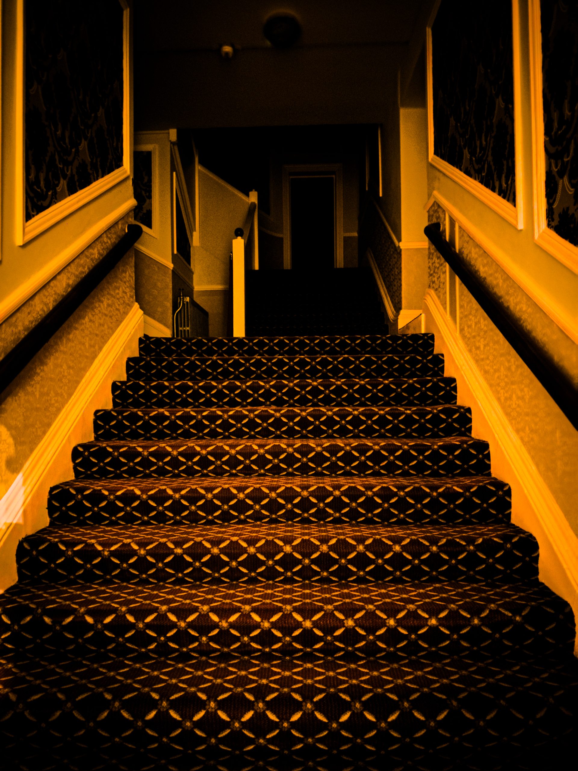 z Looking For Ghosts at The Royal Hippodrome Eastbourne January 16th 2027 - Image 6